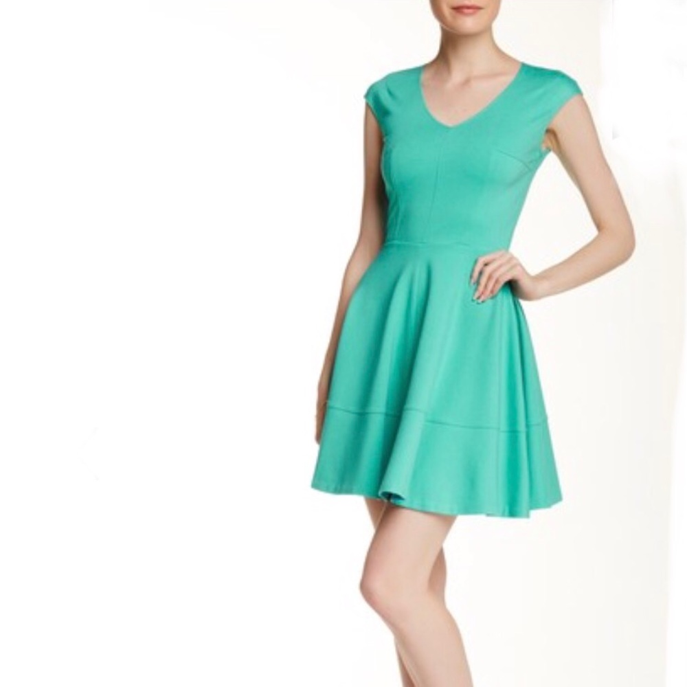 Love Ady V- Neck Fit & Flare Dress